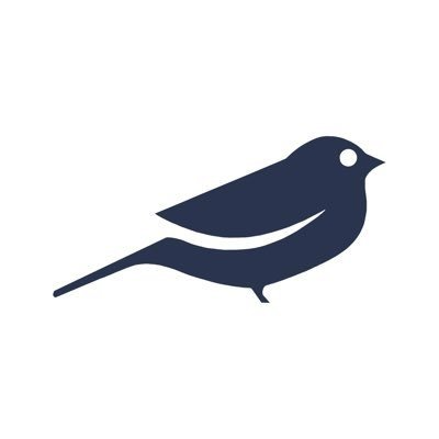 Robin logo