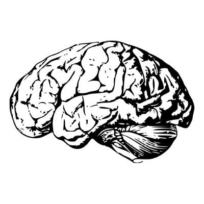 Namy ai logo