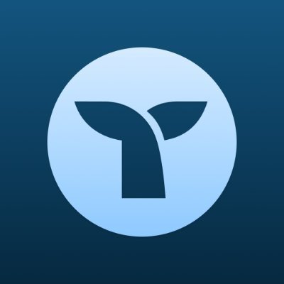 Willy logo