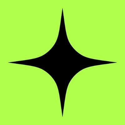 Raizer logo