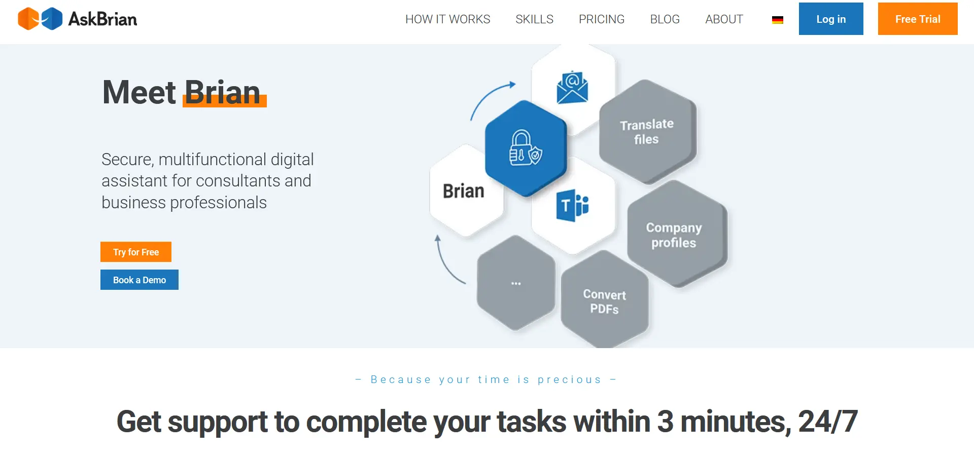 AskBrian.ai screenshot