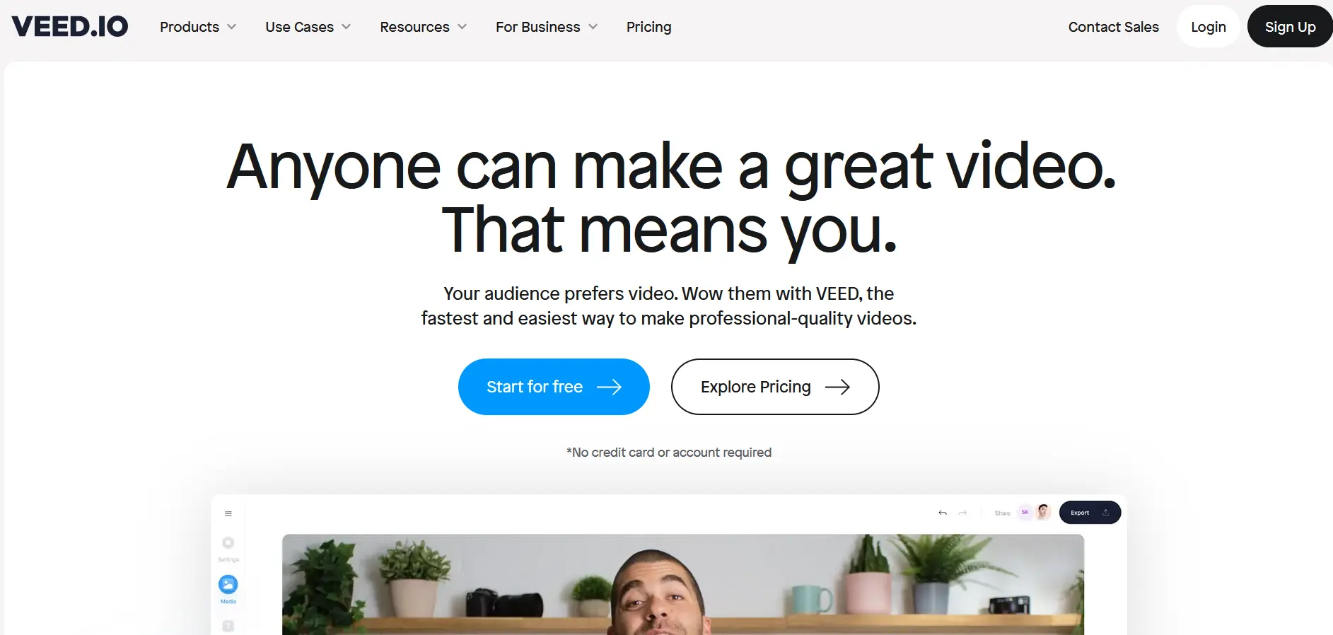 Veed.io screenshot