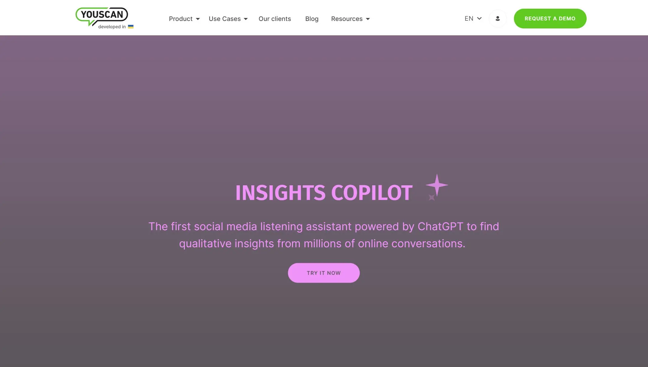 Insights Copilot screenshot