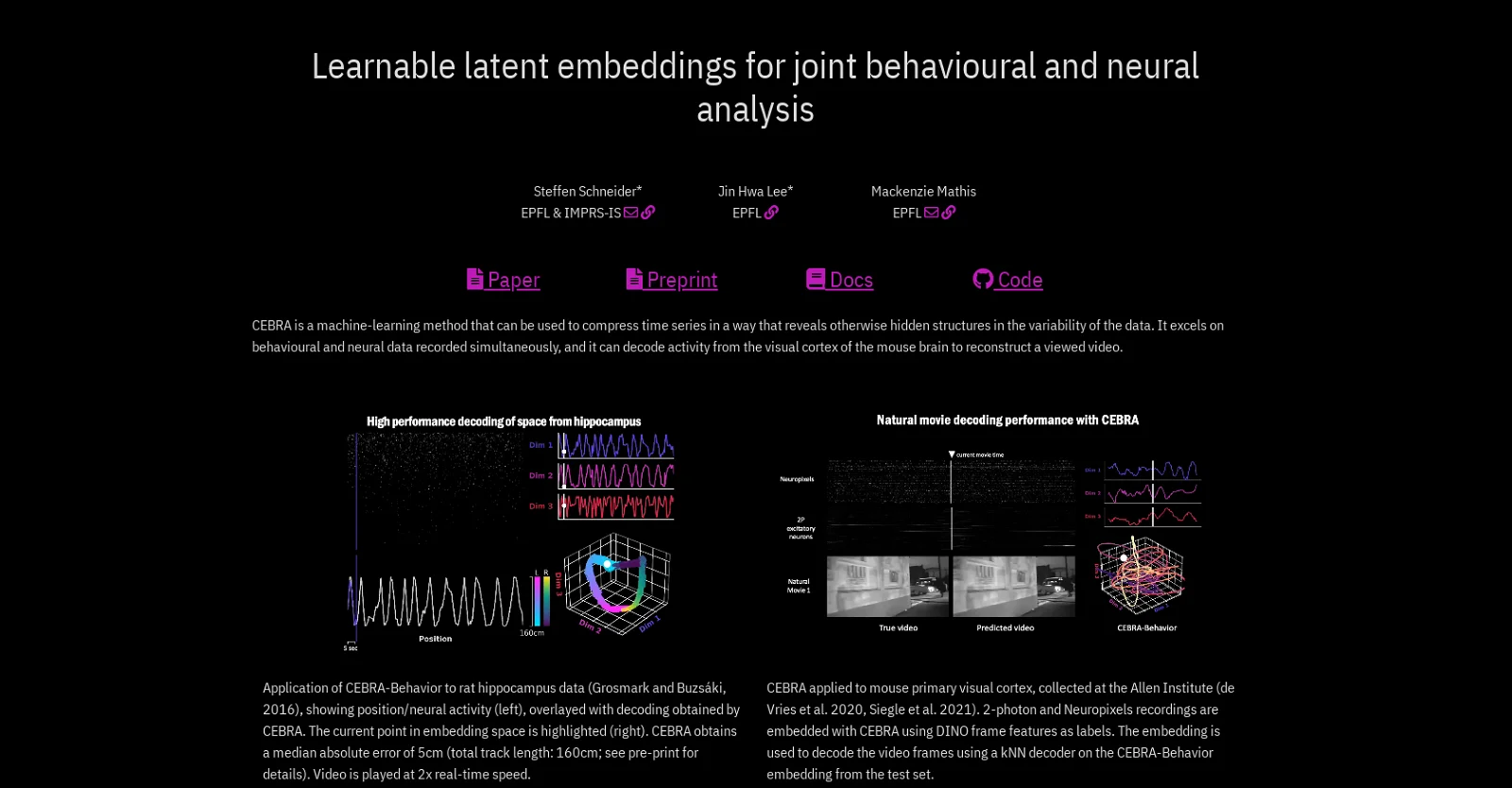 Cebra screenshot