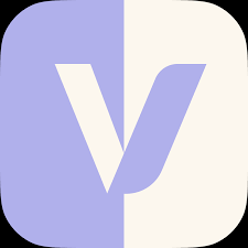 Selfie Vibe logo