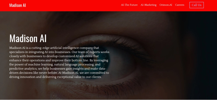 Madison AI screenshot