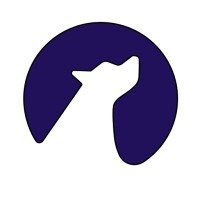 Codex logo