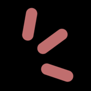 Holler logo