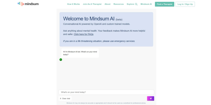 Mindsum AI screenshot