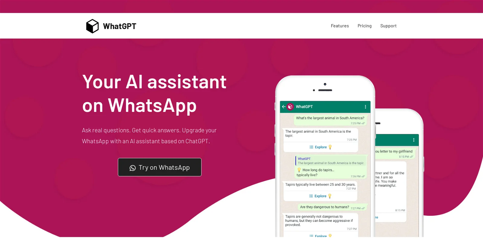 WhatGPT screenshot