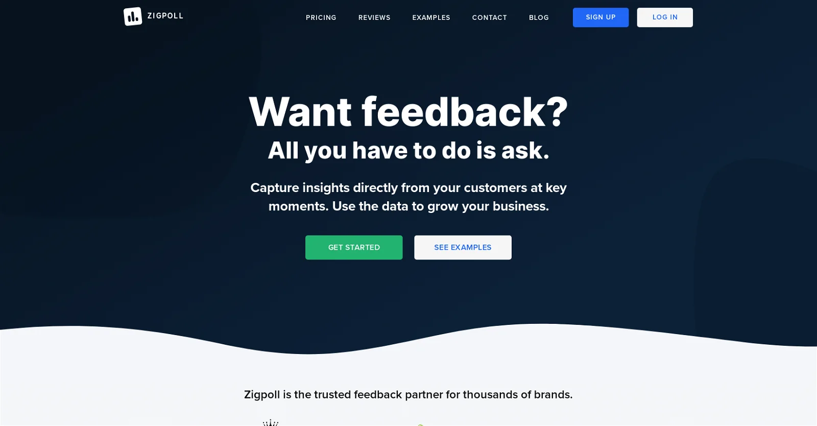 Zigpoll screenshot