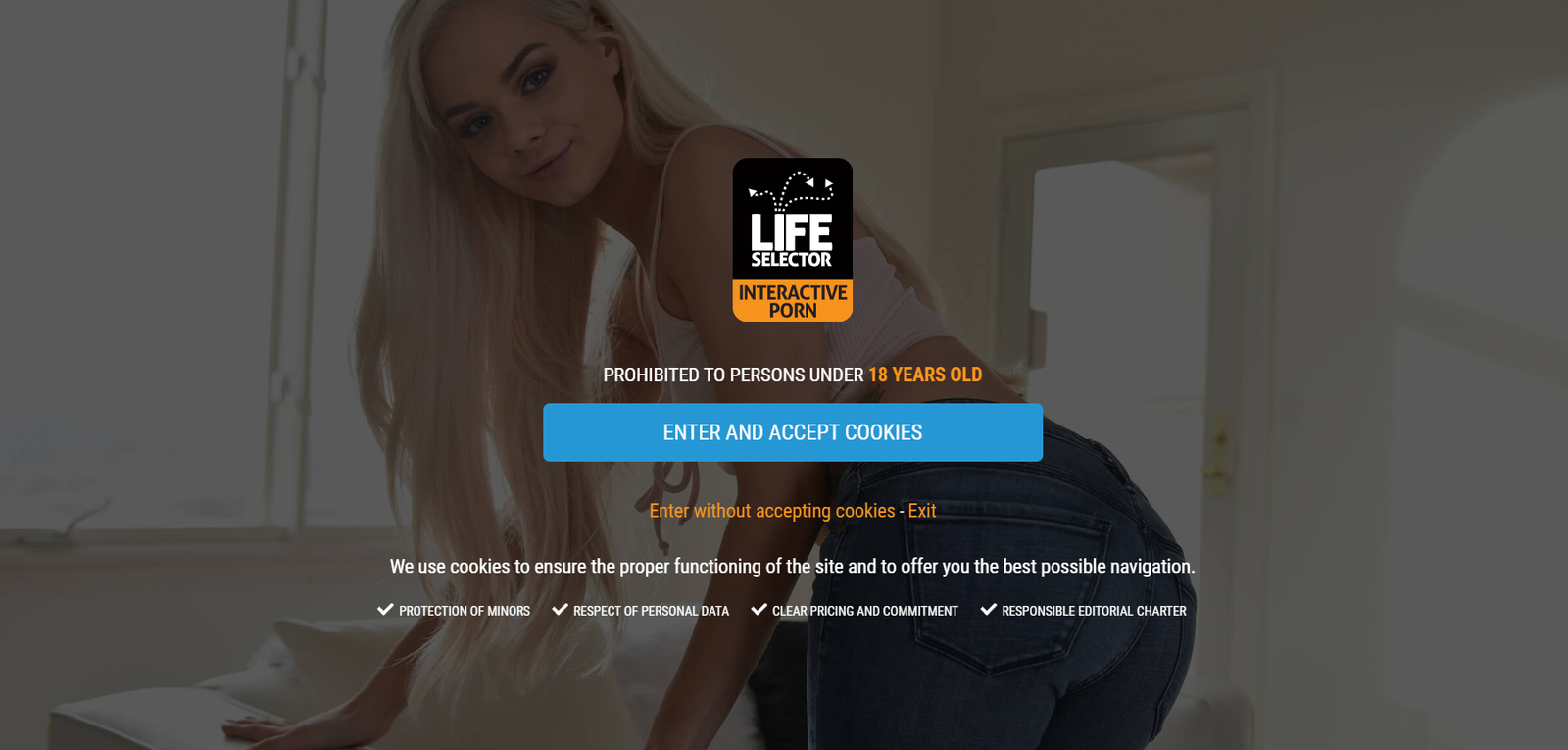 LifeSelector screenshot