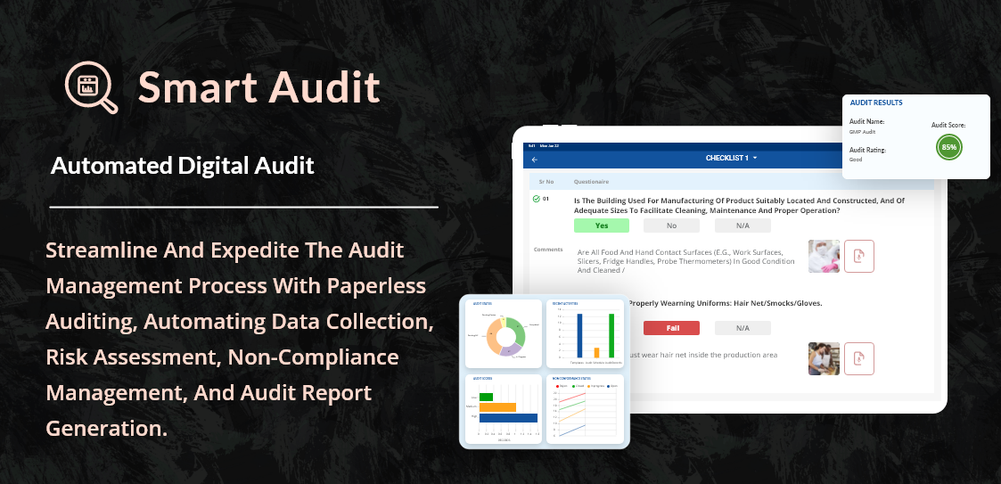 Smart Audit screenshot